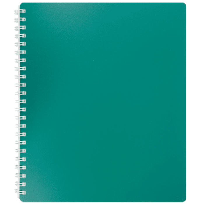 Зошит канцелярський Classic В5, 80арк. клітинка (зелений)  bm.2419-004