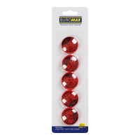 Набір магнітів Ladybug (5шт.) 