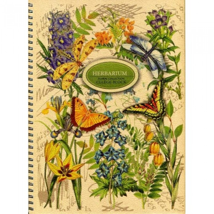 Зошит канцелярський KRAFT А4, 80арк. (клітинка) BM.2431