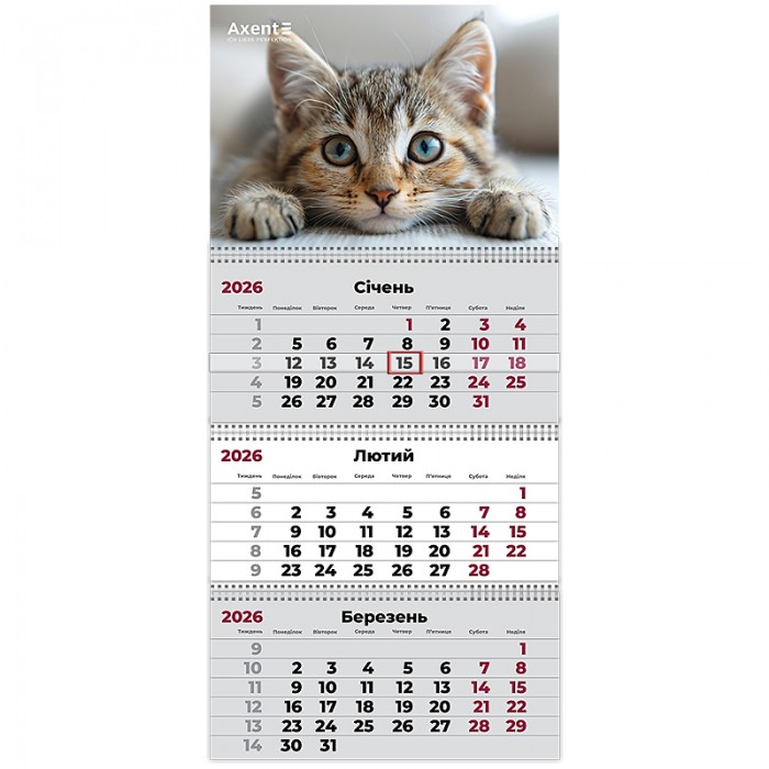 Календар 2026 квартальний (3 пружини) Cats 1