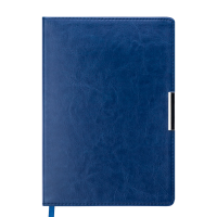 Щоденник недатований А5 Salerno (синій) 288арк
