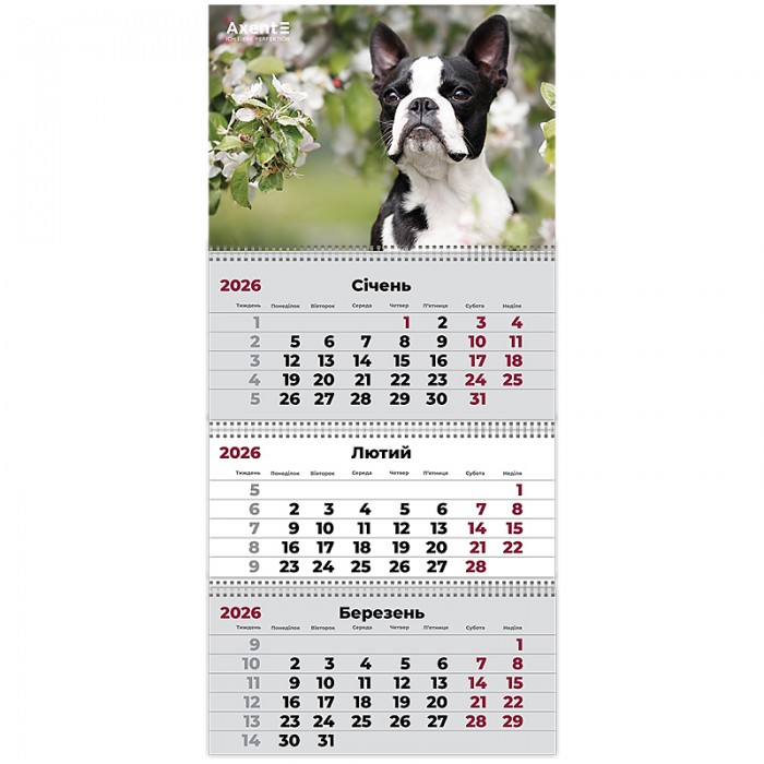Календар квартальний 2026г. (3 пружини) Dogs 2