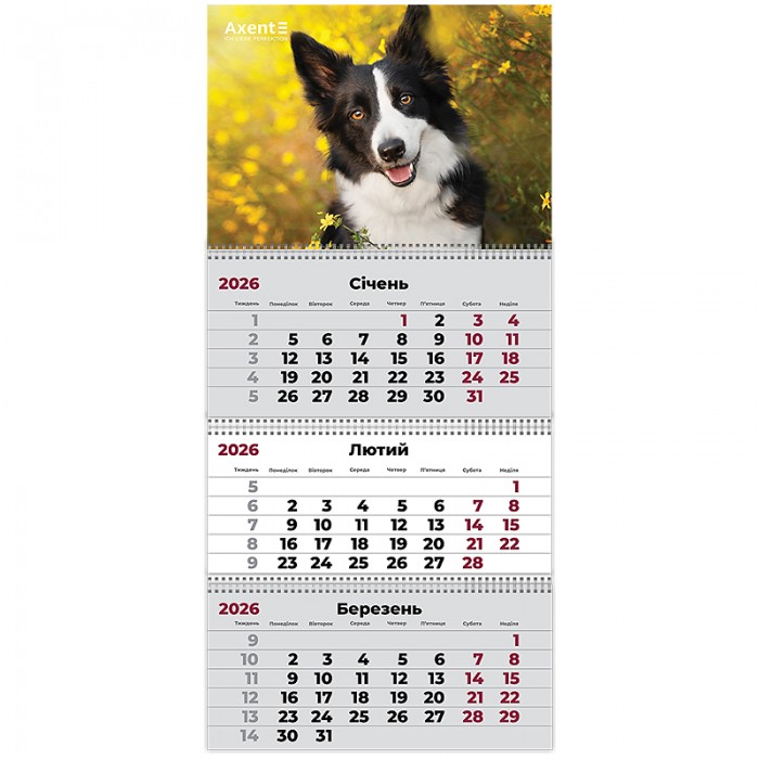 Календар квартальний 2026г. (3 пружини) Dogs 3