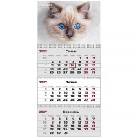 Календар квартальний 2027г (3 пружини) Cats 2