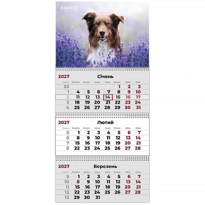 Календар квартальний 2027г (3 пружини) Dogs 1