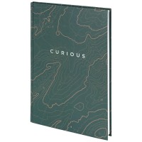 Книга канцелярська Earth colors А4, 96 аркушів, клітинка, Curious
