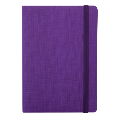 Блокнот деловой Color Tunes А5, 96л. фиолетовый (клетка) bm.295100-07