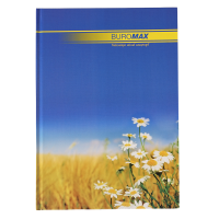 Книга канцелярская Classic (синий) А4, 96 листов, линия