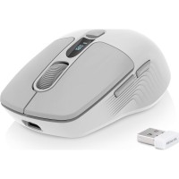EL123200050