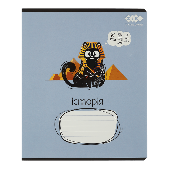 Тетрадь предметная Crazy Cat история, клетка, 48л.