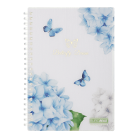 Тетрадь канцелярская Arabeski А5, 80л. клетка (прозрачный) BM.2587-00