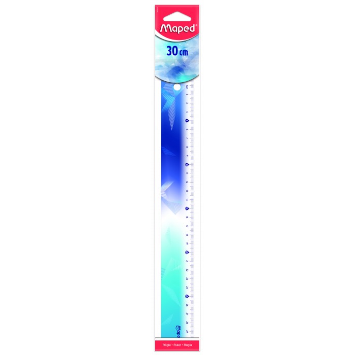 Лінійка пластикова ARCTIC VIBES 30см. кольорова