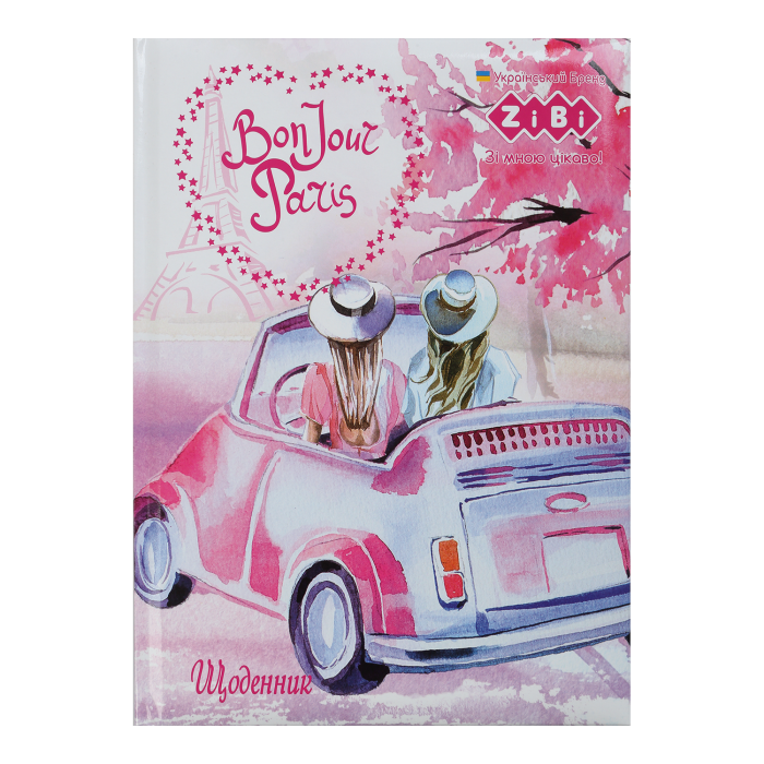 Дневник школьный Chic В5, 48л. твердая обложка "сендвич"