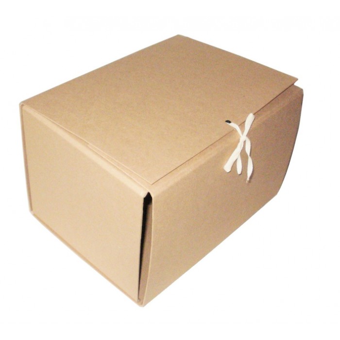 Папка-короб на зав'язках АРХІВО карт. А4, 200мм. крафт