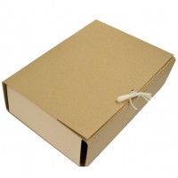 Папка-короб на зав'язках АРХІВО карт. А4, 100мм. крафт