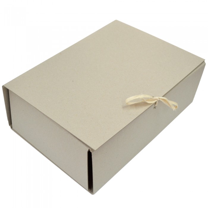 Папка-короб на зав'язках ECO карт. А4, 120мм