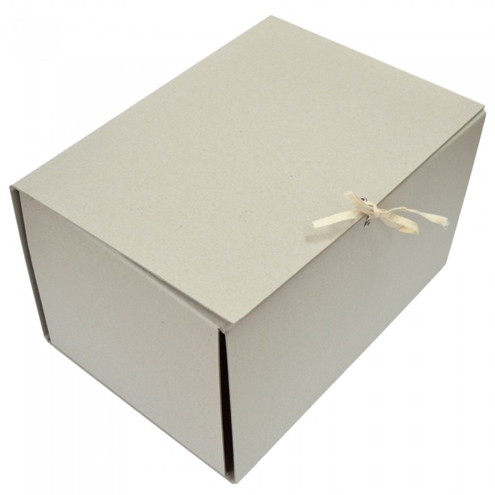 Папка-короб на зав'язках ECO карт. А4, 200мм