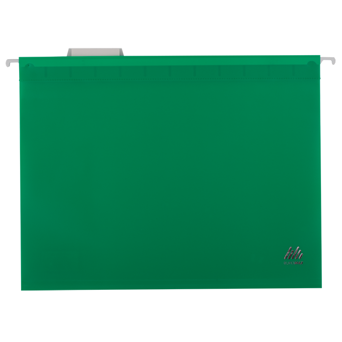 Файл підвісний пластиковий А4 (зелений) bm.3360-04