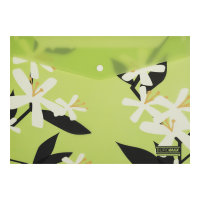 Папка-конверт на кнопке Arabeski А4 (салатовый)