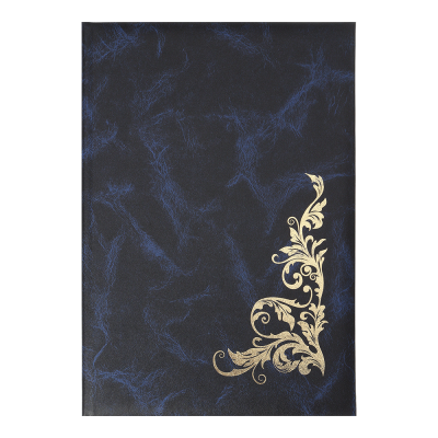 Папка Візерунок А4+ (синій)