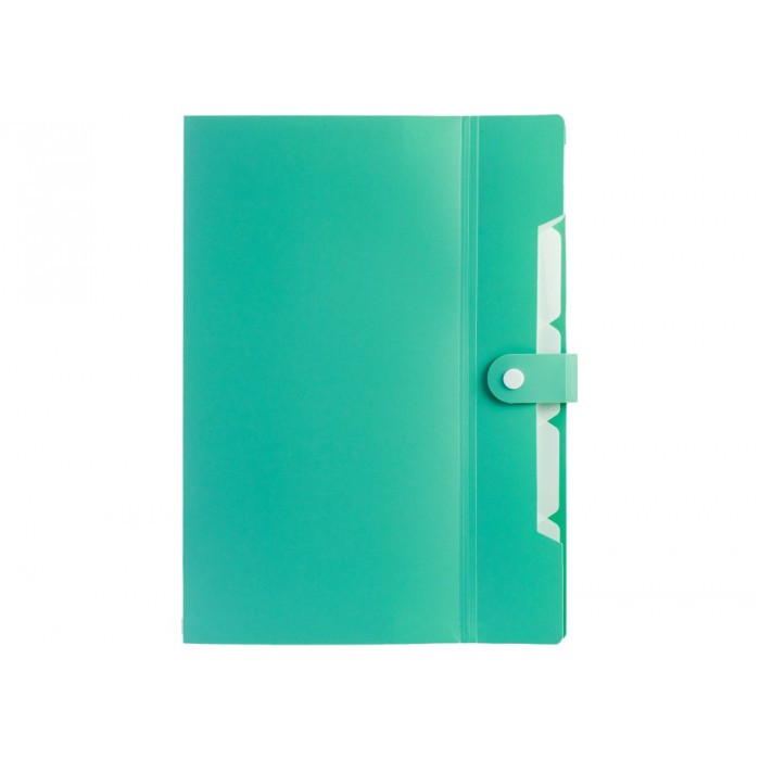 Папка на 6 відділень А4, на кнопці з розширенням (м'ятна)