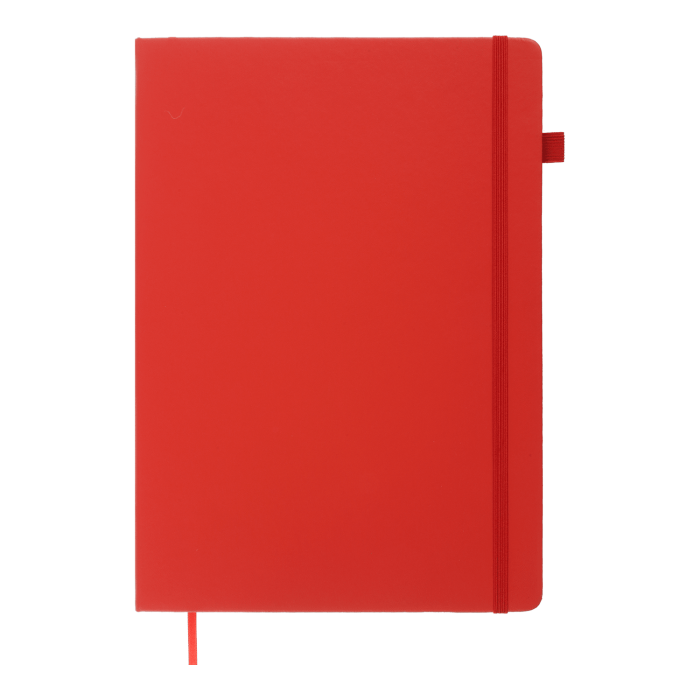 Книга записна Etalon 210х295мм, 96арк. червоний (клітинка) BM.294160-05