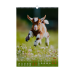Календар настінний А3, 2027р., Cute goat Календар настінний А3, 2027р., Cute goat