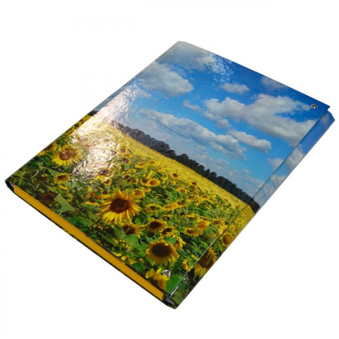 Папка-короб на липучці РР А4, 25мм Соняхи