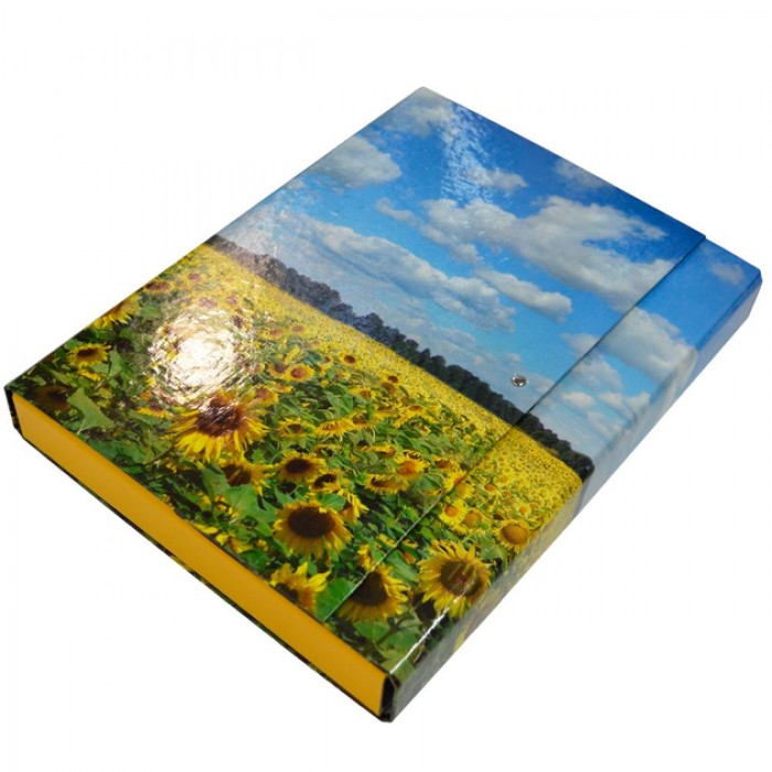 Папка-короб на липучці Академія А4, 40мм Соняхи