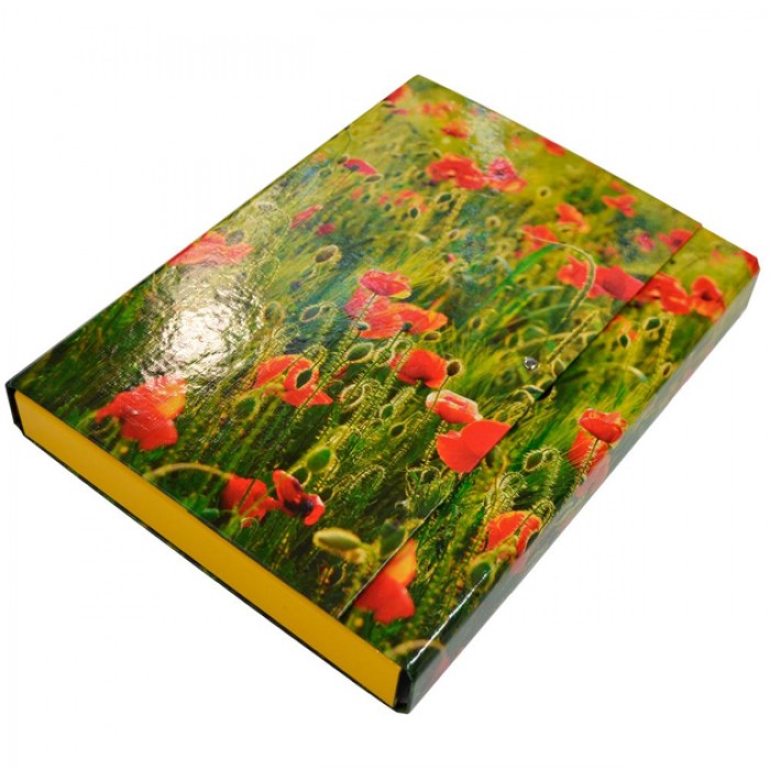 Папка-короб на липучці Академія А4, 40мм Маки