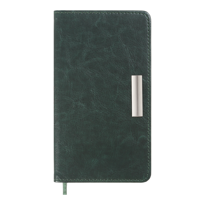 Щотижневик кишеньковий 2026 Salerno 85х153 (зелений)