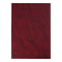 Папка без тиснення А4+ (бордо) 