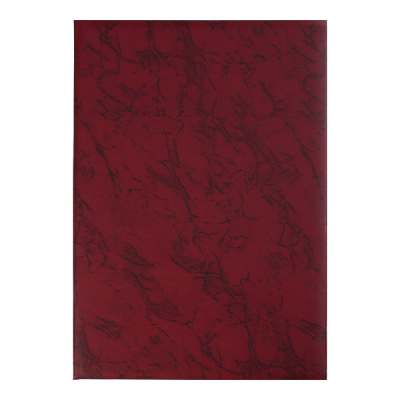 Папка без тиснення А4+ (бордо) 