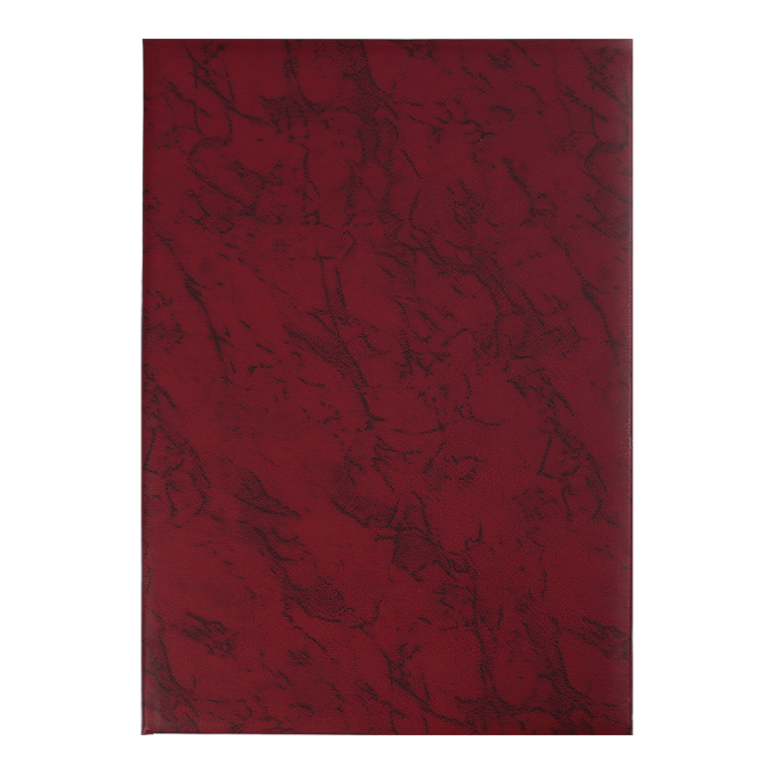 Папка без тиснения А4+ (бордо) 