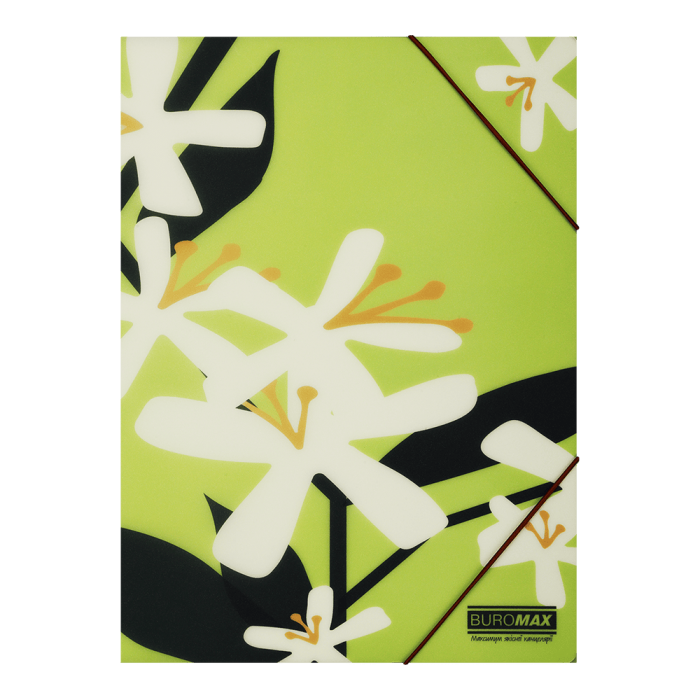 Папка на резинках Arabeski А4 (салатовый)