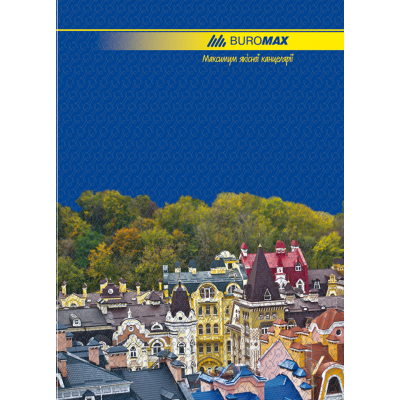 Книга канцелярська А4 96 арк. (лінія) bm.2401 