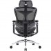 Крісло офісне Sihoo DORO C300 Pro Mesh Black