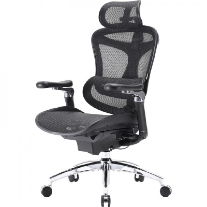 Крісло офісне Sihoo DORO C300 Pro Mesh Black