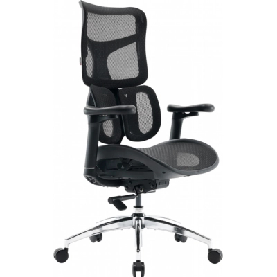 Крісло офісне Sihoo DORO S100 Mesh Black