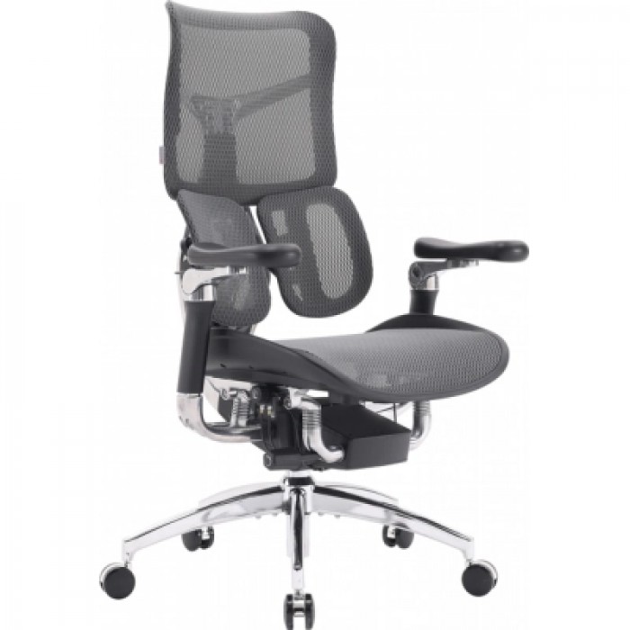 Крісло офісне Sihoo DORO S300 Mesh Dark Grey