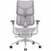 Крісло офісне Sihoo DORO S300 Mesh Light Grey