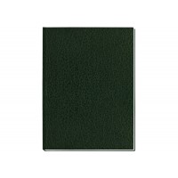 Книга канцелярська А4, Стиль, 96 аркушів (клітинка) зелений