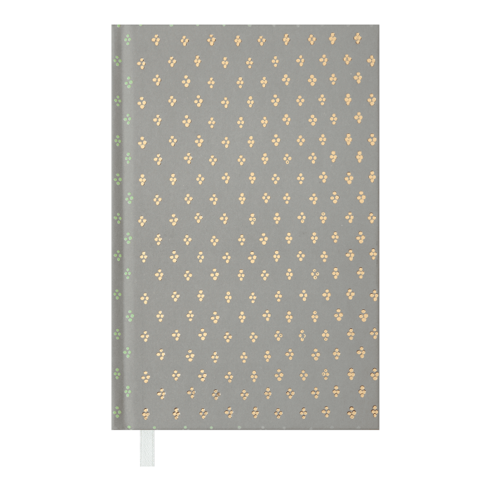 Щоденник недатований А6 Moderna (сірий) 288арк