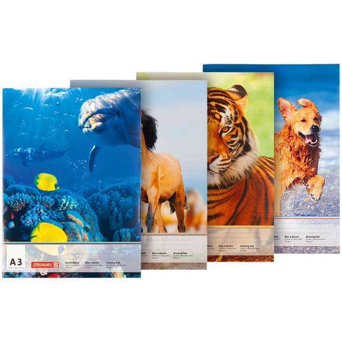 Альбом-склейка для малювання (10 аркушів) А3