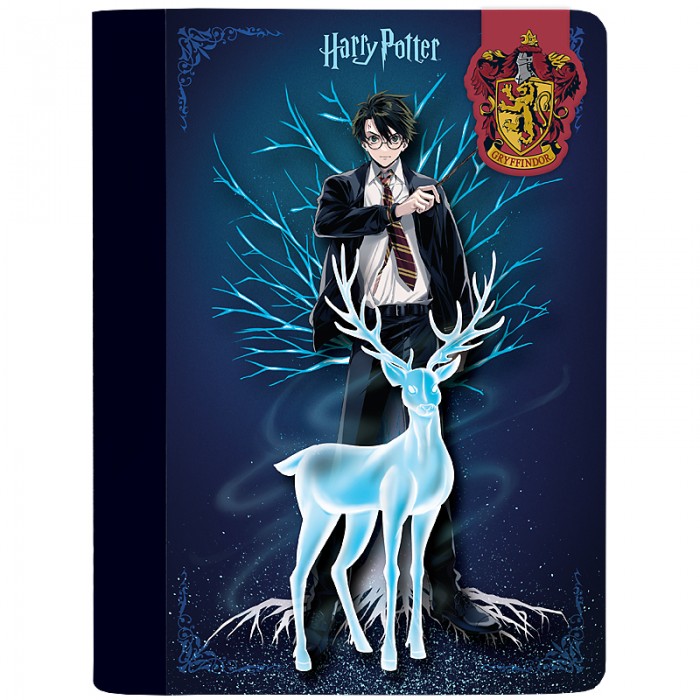 Блокнот дитячий з магнітною закладкою А5, 60арк. (клітинка) Harry Potter
