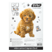 Картон білий CATS&DOGS А4 (10 аркушів) ZB.1990-22 Картон білий CATS&DOGS А4 (10 аркушів) ZB.1990-22