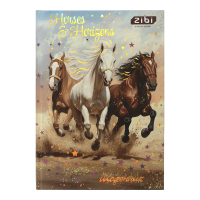 Щоденник шкільний Hight Horse В5, 40арк. тверда обкладинка