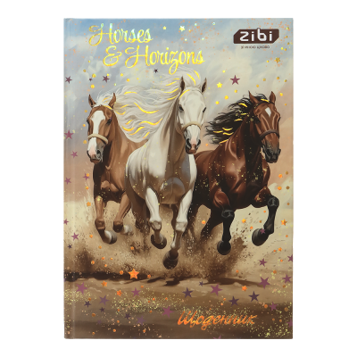 Щоденник шкільний Hight Horse В5, 40арк. тверда обкладинка