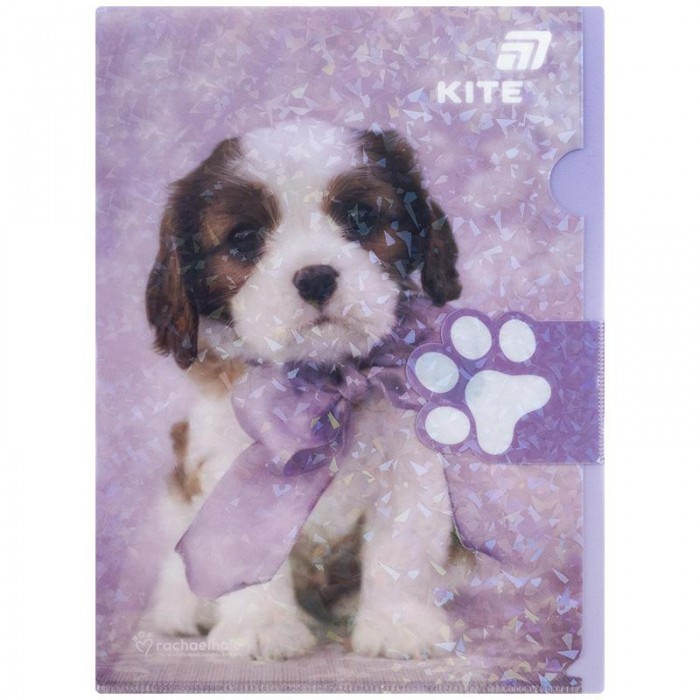 Папка-куточок з клапаном А4, Rachael Hale