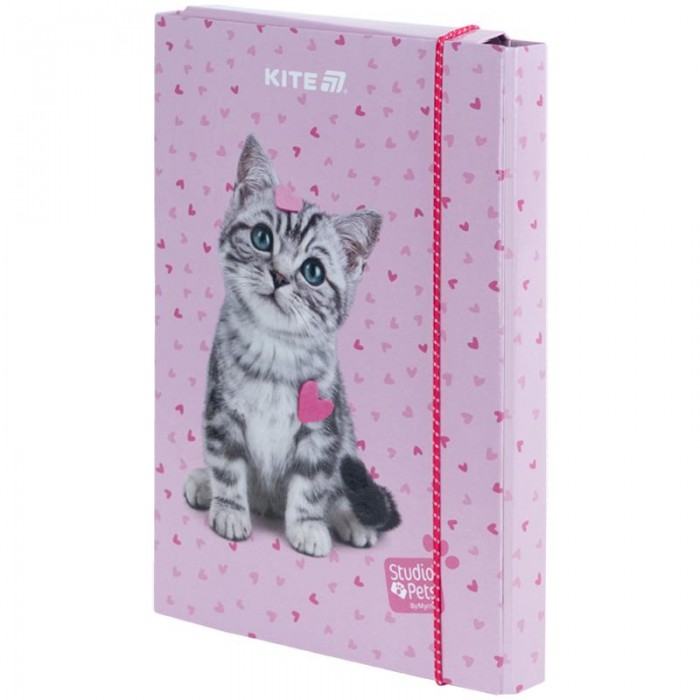 Папка для тетрадей В5 Studio Pets